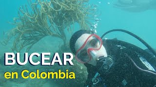 ¿Quieres BUCEAR EN COLOMBIA? Anímate a hacerlo conmigo. | Buceo en Santa Marta | Español con María