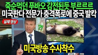 선수핑 기지 푸바오 미공개 영상 지켜본 호주판다전문가 충격발표에 난리난 현지상황