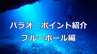 パラオのダイビングポイント紹介_ ブルーホール編