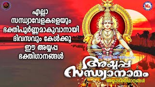 അയ്യപ്പ സന്ധ്യാനാമം |അയ്യപ്പഭക്തിഗാനങ്ങൾ | Hindu Devotional Songs Malayalam|Ayyappa Devotional Songs