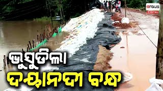 ଭୁସୁଡିଲା ଦୟାନଦୀ ବନ୍ଧ ! || Daya River || Flood Situation