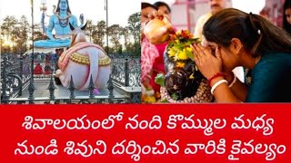 శివాలయంలో నంది కొమ్ముల మధ్య నుండి స్వామిని దర్శించడం వల్ల ....నంది అనుగ్రహం కలుగుతుంది.