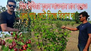 বিকাশ নার্সারী মিস ইন্ডিয়া কুলের বাগান কেঁটে ফাঁকা করে দিলো কেন? জানতে অবশ্যই ভিডিওটি দেখুন