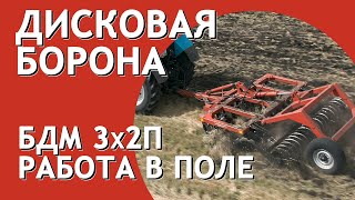 Борона дисковая прицепная БДМ 3,2х2 Артайус в работе с МТЗ-892.2