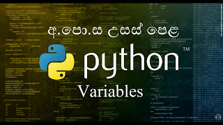 01-variables - විචල්ය - Python Sinhala
