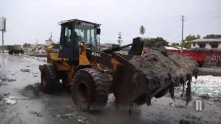 Cyclone Matthew: Curage du bois-de-chêne