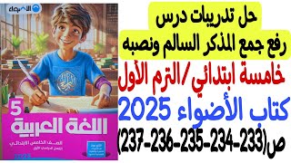 حل تدريبات درس رفع جمع المذكر ونصبه - كتاب الأضواء 2025 - خامسة ابتدائي/الترم الأول من ص233 إلى ص237