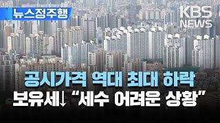 올해 공시가격 역대 최대 하락…보유세 부담 20% 이상 감소/\