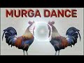 Murga dance ku ku ku || murga dance dj mix new #murga #dance #song #lyricsbeat