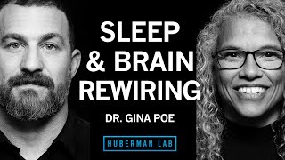 Dr. Gina Poe: Use Sleep to Enhance Learning, Memory & Emotional State | Huberman Lab Podcast