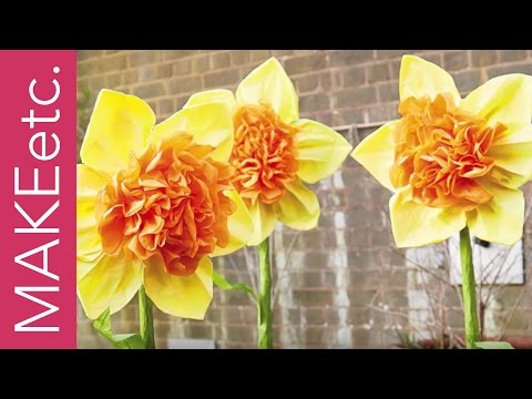 How to make a Tissue Paper Daffodil with Juliet Carr How to make a Tissue Paper Daffodil with Juliet Carr