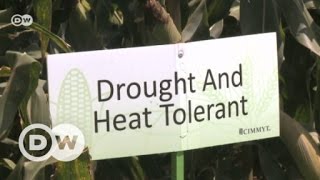 Farmers adapting to climate change | DW English