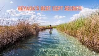 This Oasis is Hidden in the Middle of Nevada's Desert!