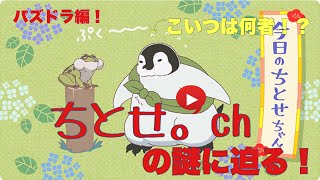 【パズドラ】こいつは何者！？ちとせ。の謎に迫る＋BOX紹介〜パズドラ編〜