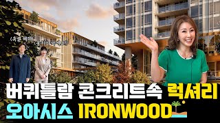 [ IRONWOOD ] 버퀴틀람 콘크리트 속 나만의 오아시스 안에 살 수 있는 럭셔리한 프로젝트가 왔습니다! | Team Michelle Hur