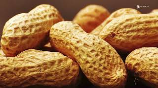 Preventing Peanut and Egg Allergies by Early Introduction