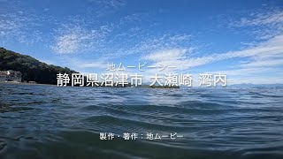 静岡県沼津市 大瀬崎 湾内