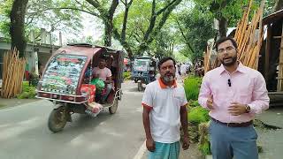 ব্রাহ্মণবাড়িয়া, নবীনগরে বাঙ্গরা বাজারে জমে উঠেছে ধানের চারার হাট...