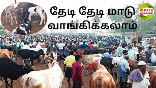 தமிழ்நாட்டின் மிகப்பெரிய மாட்டு சந்தை|ஈரோடு கருங்கல்பாளையம் மாட்டுச்சந்தை #vivasayaarvalargal #cows