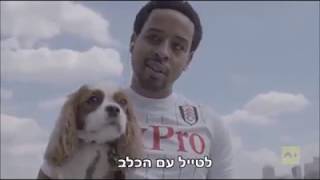 מטלות או הגשמת חלומות?