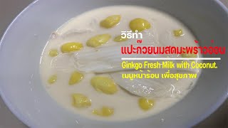 แปะก๊วยนมสดมะพร้าวอ่อน Ginkgo Fresh Milk with Coconut  ไม่ใส่น้ำตาล no sugar เมนูเพื่อสุขภาพ