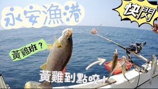 「強強要釣魚」永安漁港出海船釣黃雞！竿竿咬、抖抖抖！快閃4小時！可惜風浪來，這個咬度應該可以爆桶喔！#釣魚 #船釣 #生餌 #黃雞 #永安漁港 #快閃 #深海