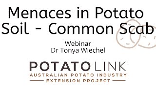 PotatoLink Disease Webinar Series No 1: Menaces in potato soil - the common scab story