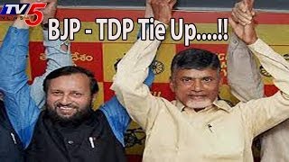 Political Equations Changes In TDP - BJP alliance