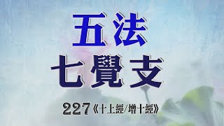 227常律老和尚開示巴利藏原始佛教真佛經真佛法共186部及17732篇經文 佛教有史以來為大眾一部經一部經開示的比丘-五法 七覺支