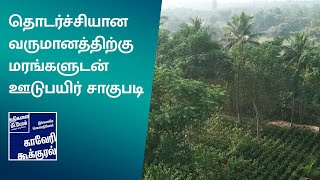 தொடர் வருவாய் தரும் மரம் சார்ந்த விவசாயம்:மரக்கன்றுகள் நன்றாக வளர்வதை எப்படி உறுதி செய்வது-படிநிலை 7