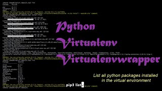 Learn how to setup python virtualenv in 2 minutes