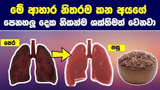 මේ ආහාර නිතර කනකොට ඔබේ පෙනහලු දෙක නිකන්ම ශක්තිමත් වෙන්න පටන් ගන්නවා | Best Foods for Lungs