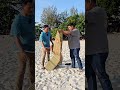 Full Video : Sewa Tikar Tepi Pantai. #kanafly #rahmanchea