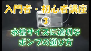 大型魚アクア入門者・初心者講座③　適切なポンプの選び方