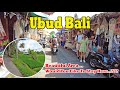 Beautiful Area In Ubud Bali...!! Would You Like To Stay Here..??? Ubud Bali Update