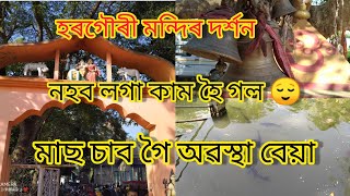 12 Th vlog || হৰগৌৰী মন্দিৰ 🙏 || Hargauri mandir | Mandir dorkhon hajo || Hajo temple #assamesevlogs