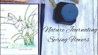 Starting my First Nature Diary! Nature Journaling