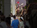 മേളം…. അന്നമനട ഉത്സവക്കാലം annamanada temple ulsavam elephant shorts