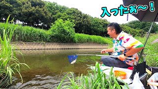 雰囲気最高の川で釣りしたら思わず叫んでしまった男【埼玉県東松山市 滑川】