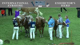 183 Ayrshire Exhibitors Herd