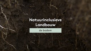 Natuurinclusieve landbouw: de bodem