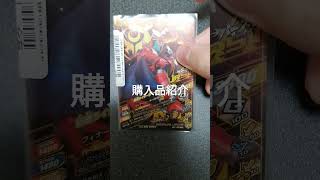 ガンバライジング　購入品紹介