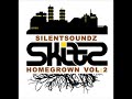 skitz homegrown vol 2 the elementz feat skinnyman hi