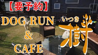 ドッグランミルキーズからの～ドッグラン＆カフェ樹