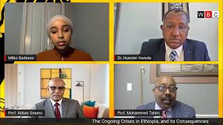 The Current Situation in Ethiopia; Hunger Strike by Oromo Prisoners of Conscience, and More...