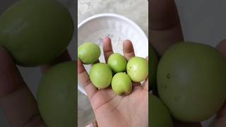 jujube pickle recipe || dried jujube recipe || #shorts #shorts_feed #youtube_surch