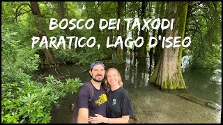 Trekking Hike Italia - Bosco dei Tassodi - Bosco Taxodi