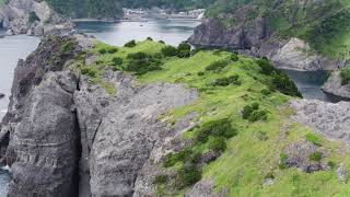 【ドローン空撮】伊豆半島　南伊豆　～大根島～