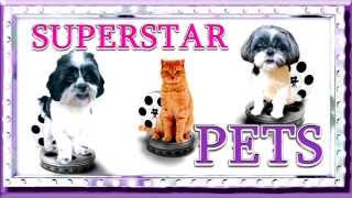 SUPERSTAR PETS INTRO