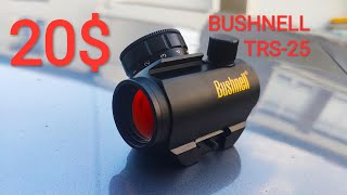 20$ RED DOT : CLONE BUSHNELL TRS-25 OVERVIEW + PARALLAX